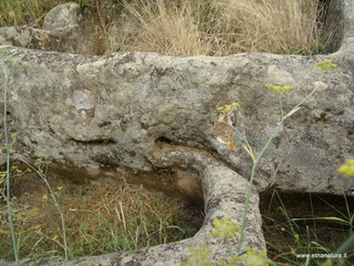 Monte Recavallo